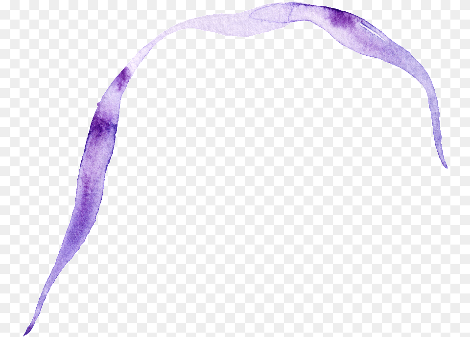 Purple Ribbon Transparent Decorative Headband, Accessories, Bean, Flower, Food Free Png Download