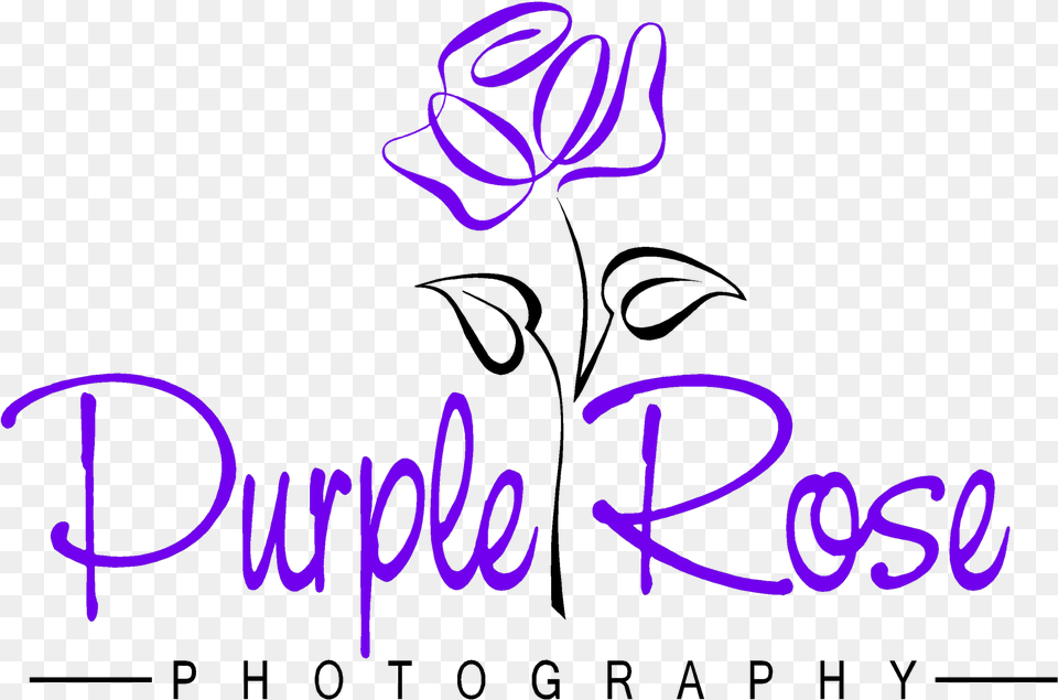 Purple Rose, Handwriting, Text Png