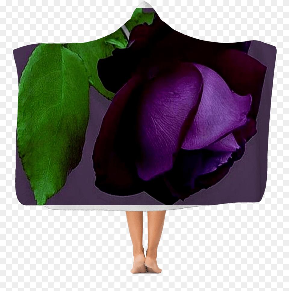 Purple Rose, Flower, Petal, Plant, Velvet Free Png Download