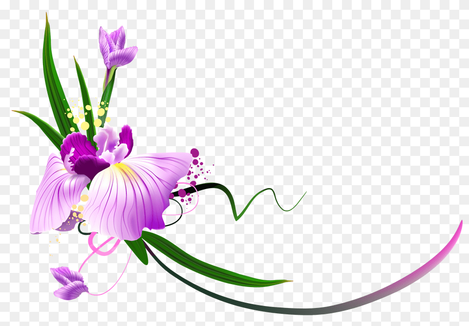 Purple Rose Border Clipart, Graphics, Art, Floral Design, Flower Png Image