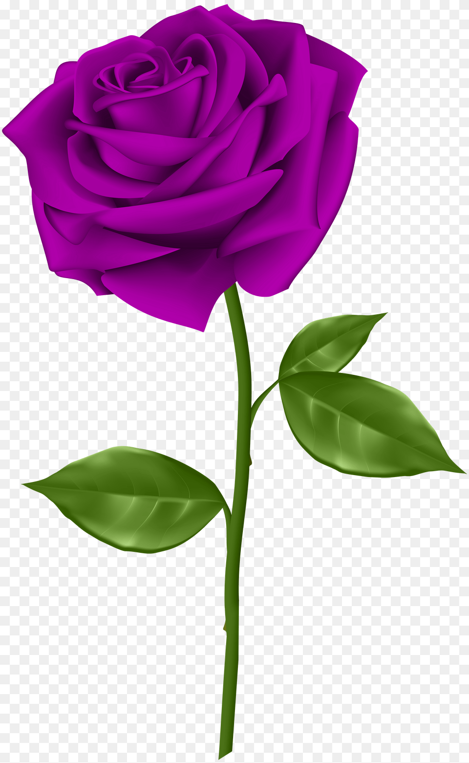 Purple Rose Clip, Flower, Plant Free Png Download