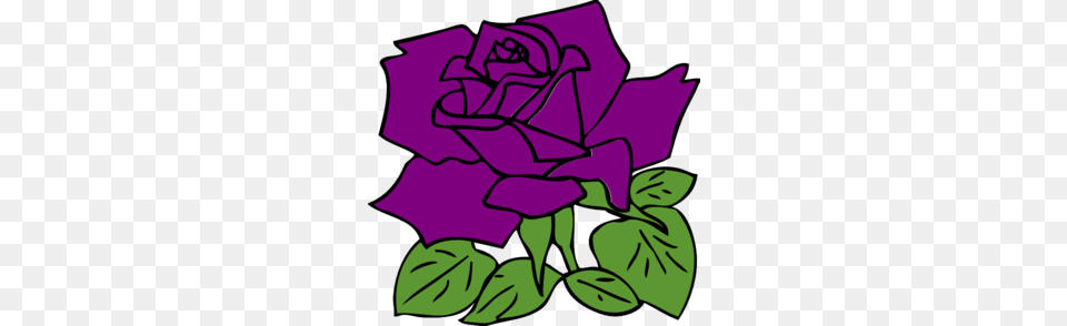 Purple Rose Clip Art, Flower, Plant, Leaf, Baby Free Png