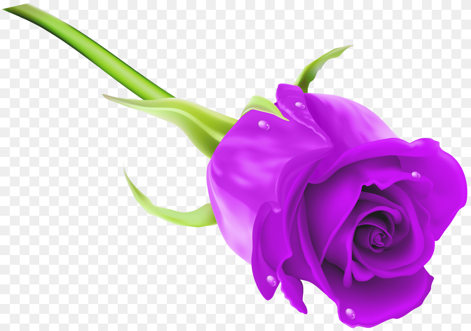 Purple Rose Clip Art, Sphere, Balloon Free Transparent Png