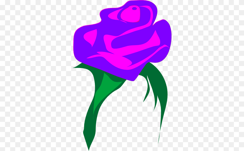 Purple Rose Clip Arts For Web, Flower, Plant, Adult, Art Free Png Download