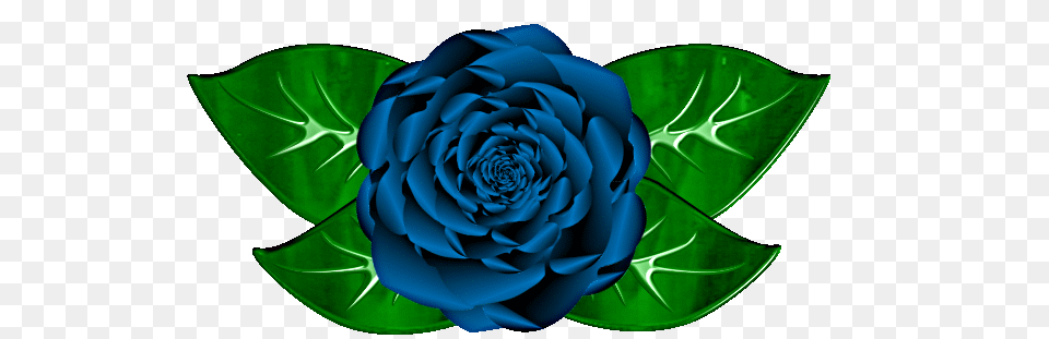 Purple Rose Clipart Blue Rose, Flower, Plant Free Png