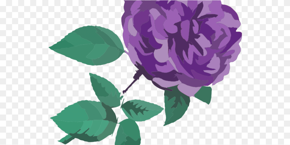 Purple Rose Clipart Flower Clipart No Background, Dahlia, Plant, Leaf, Baby Png