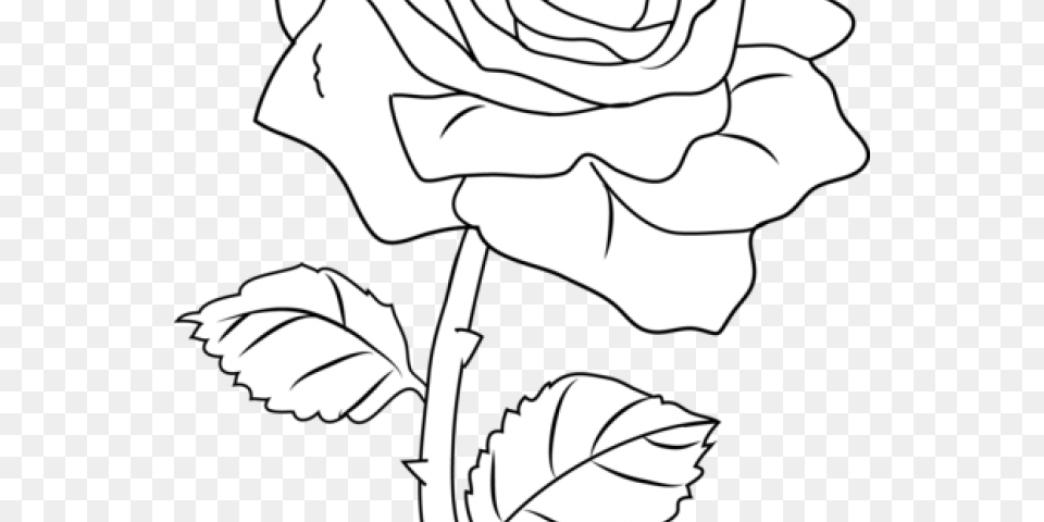 Purple Rose Clipart Flower Line Coloring Book, Plant, Art, Person, Drawing Free Png
