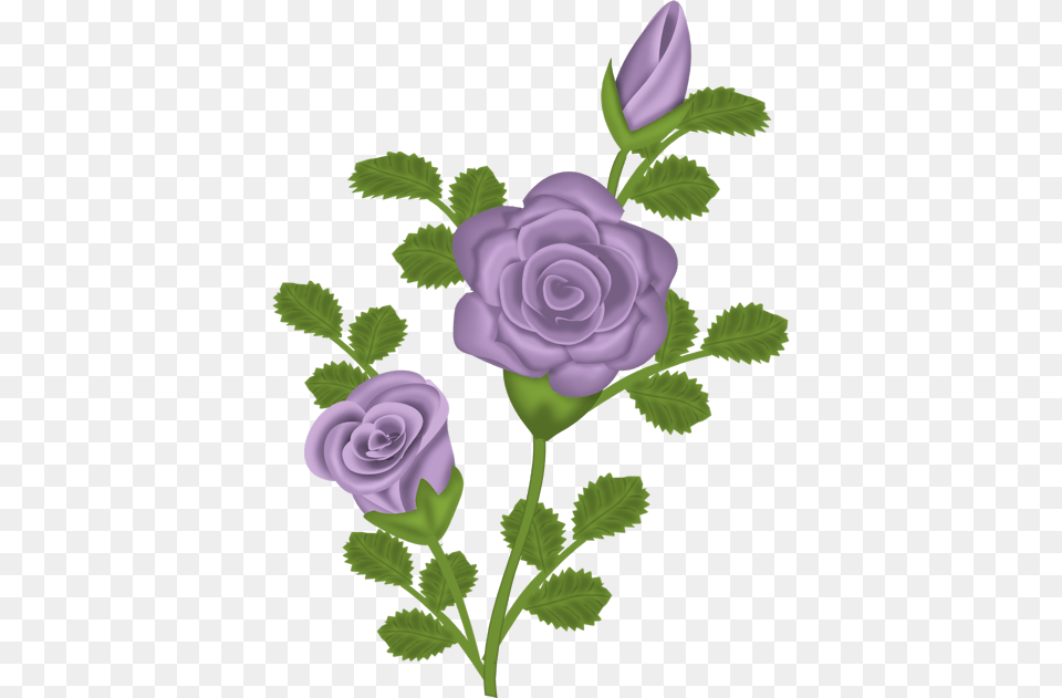 Purple Rose Clipart Image, Flower, Plant Png
