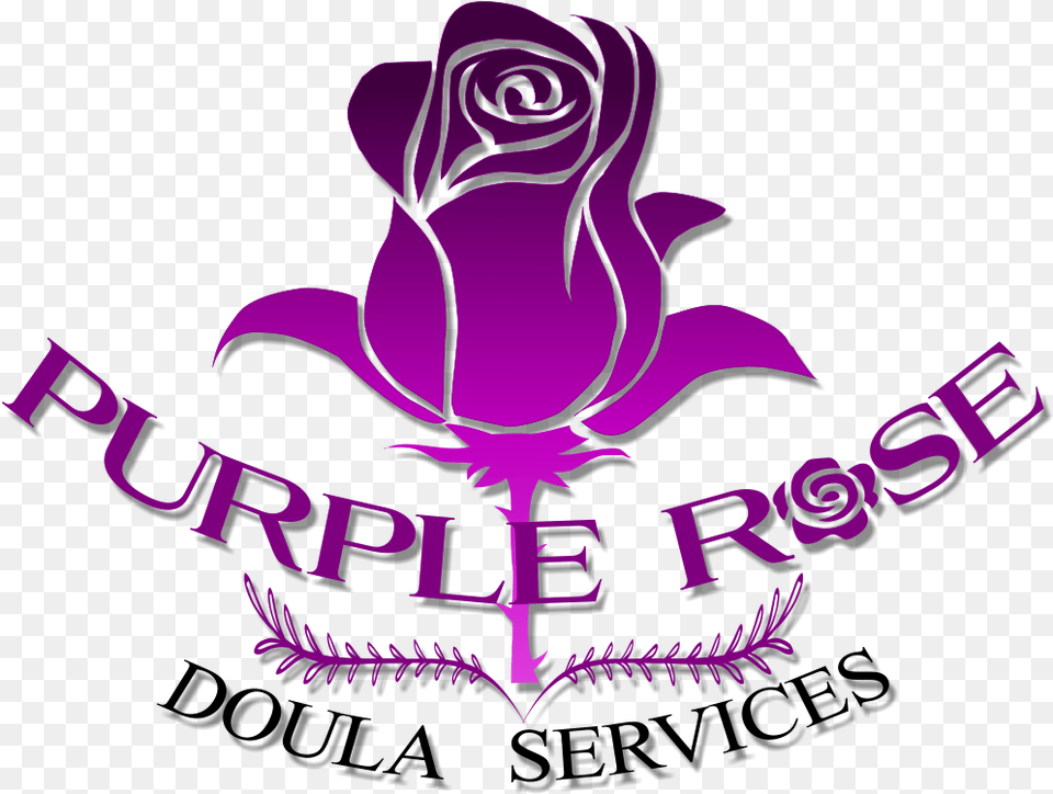Purple Rose Doula Services Calgary Postpartum And Birth Doula Drop Of Water, Flower, Plant, Symbol, Emblem Free Transparent Png