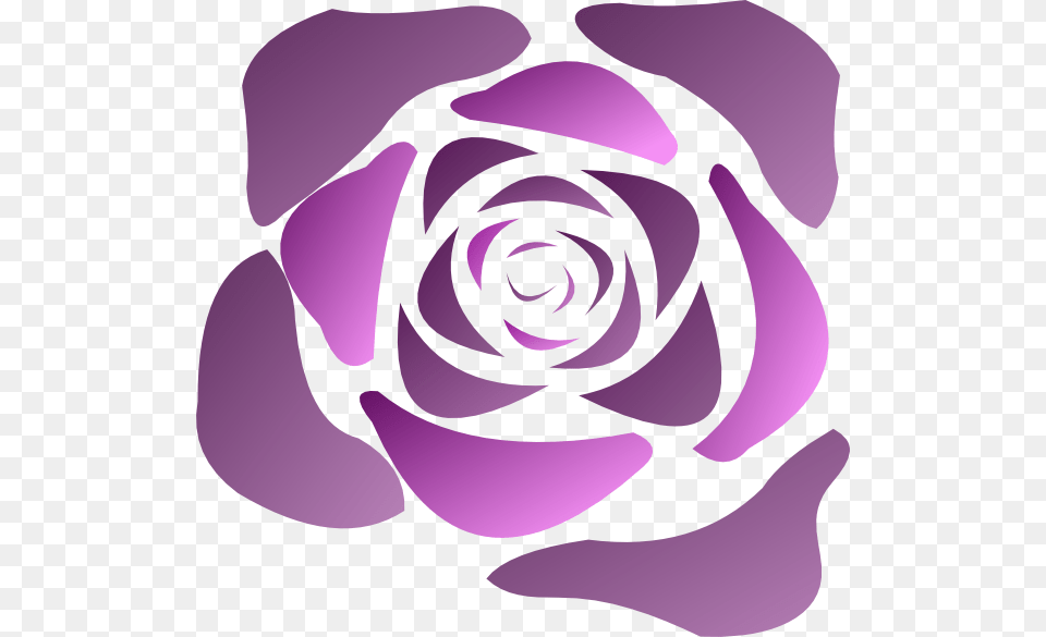 Purple Rose Vector, Flower, Plant, Spiral, Person Free Transparent Png