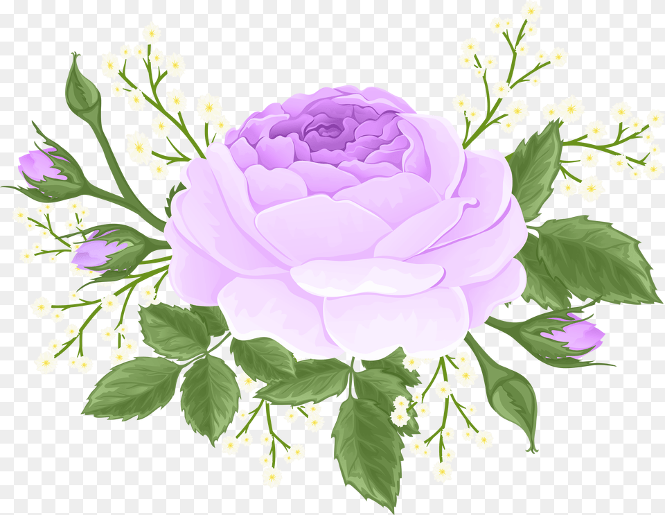 Purple Rose With White Flowers Clip Free Png Download