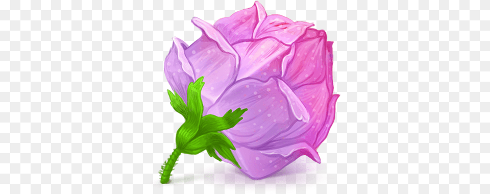 Purple Roses Icons U2013 Free Download Rose, Plant, Flower, Dahlia, Dessert Png