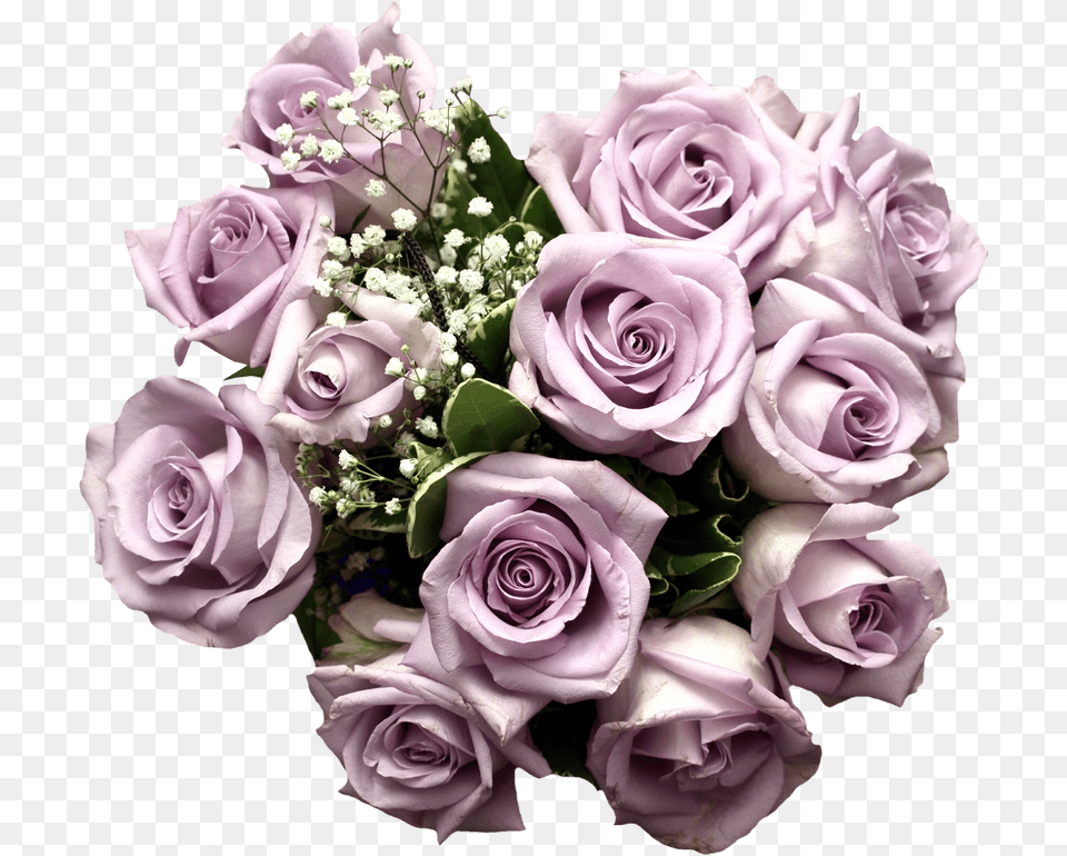 Purple Roses Light Purple Rose Bouquet, Flower, Flower Arrangement, Flower Bouquet, Plant Free Transparent Png