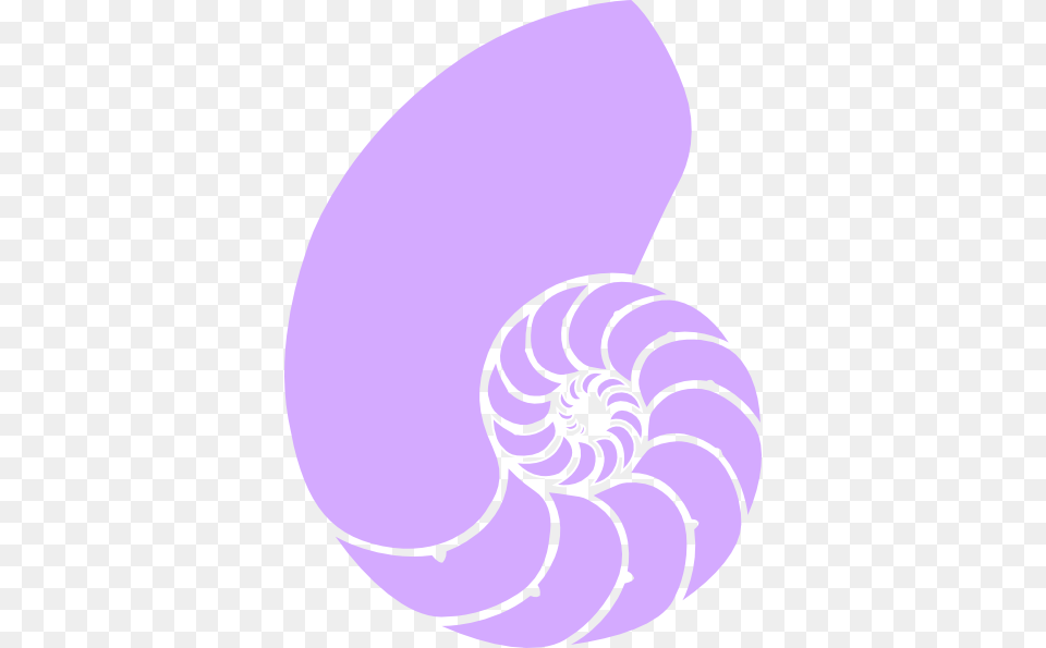 Purple Seashell Clipart Nautilus Shell Clipart, Spiral, Sea Life, Invertebrate, Animal Png