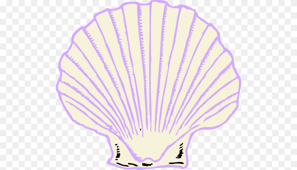 Purple Shell Clipart, Animal, Clam, Food, Invertebrate Free Png Download