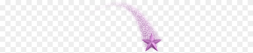 Purple Shooting Star, Flower, Plant, Disk, Accessories Free Transparent Png