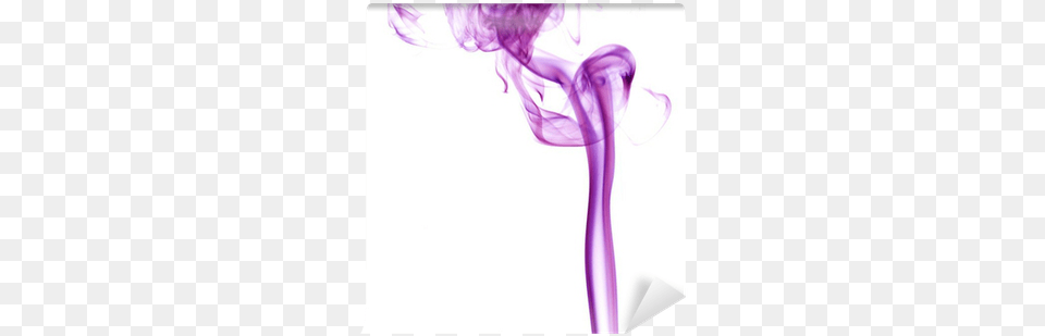 Purple Smoke Wall Mural Pixers Illustration, Adult, Female, Person, Woman Free Png