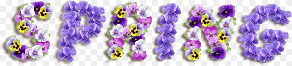 Purple Spring Clipart Free Png