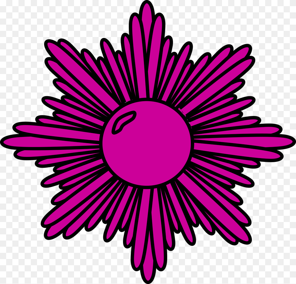 Purple Starburst Icons, Daisy, Flower, Plant Png