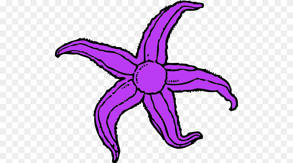 Purple Starfish Clipart Starfish Clip Art, Person, Animal, Sea Life Png Image