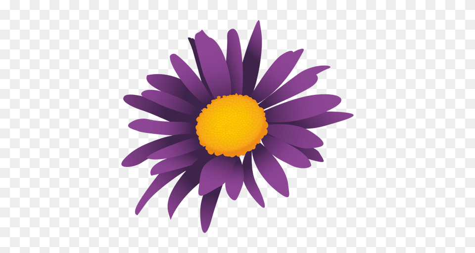 Purple Sunflower Cartoon, Daisy, Flower, Plant, Petal Free Png