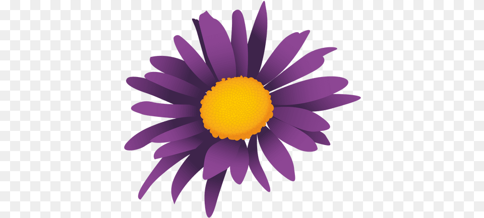 Purple Sunflowers U0026 Sunflowerspng Illustrator Flower Vector, Daisy, Plant, Petal, Anemone Free Transparent Png