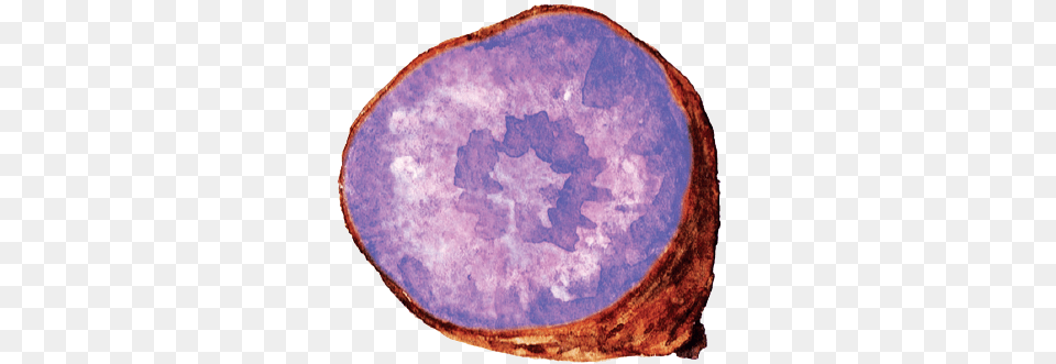 Purple Sweet Potato Purple Sweet Potato Watercolor, Accessories, Gemstone, Jewelry, Ornament Free Png Download