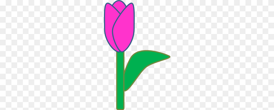 Purple Tulip Clipart, Flower, Plant Free Png Download