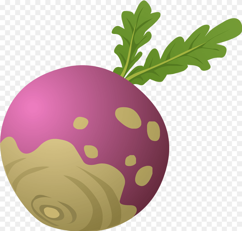 Purple Turnip Clipart, Food, Produce, Plant, Vegetable Free Png Download