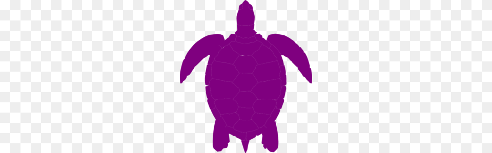 Purple Turtle Clipart Clip Art Images, Baby, Person, Animal Free Png
