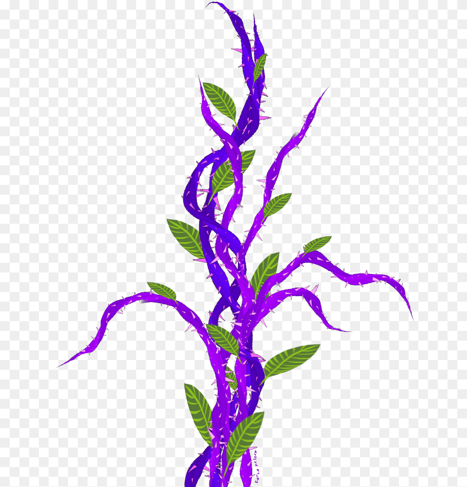 Purple Vines With Thorns, Flower, Flower Arrangement, Pattern, Plant Png Image