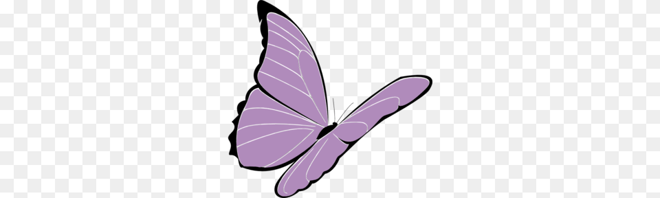 Purple Violet Cliparts, Animal, Butterfly, Insect, Invertebrate Free Transparent Png