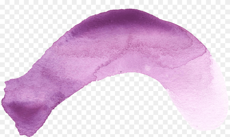 Purple Watercolor Flower, Petal, Plant, Home Decor Free Transparent Png