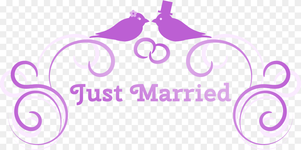 Purple Wedding Clip Art, Graphics, Animal, Bird, Floral Design Png