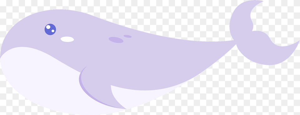 Purple Whale Clipart, Animal, Mammal, Sea Life, Beluga Whale Free Transparent Png