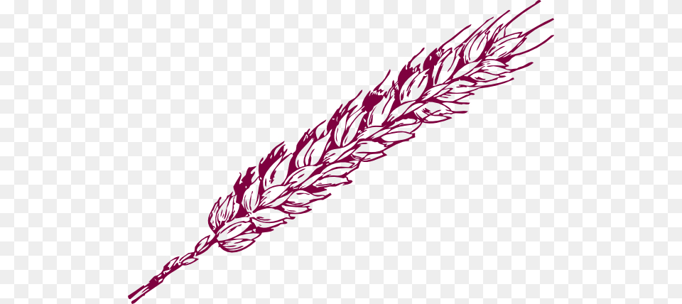 Purple Wheat Clip Art, Grass, Plant, Food, Grain Png