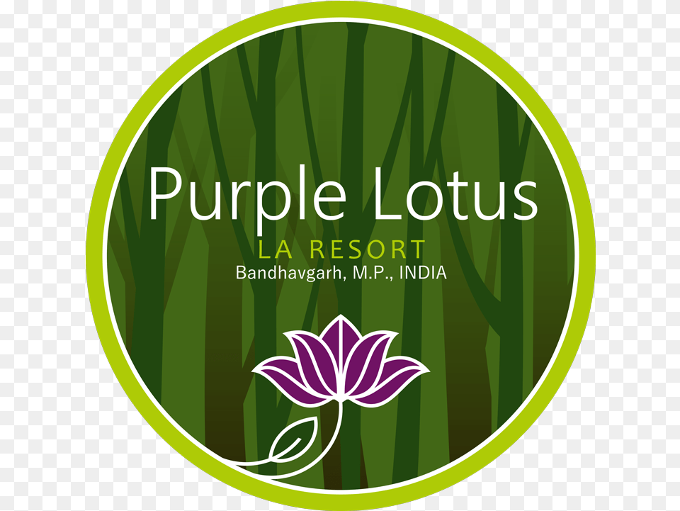 Purplelotusla Resort Sacred Lotus, Green, Herbal, Herbs, Plant Free Transparent Png