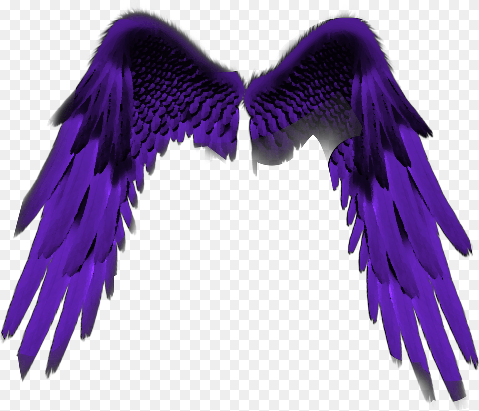 Purplewings Purple Wing Wings Purpleangelwings, Adult, Female, Person, Woman Free Transparent Png