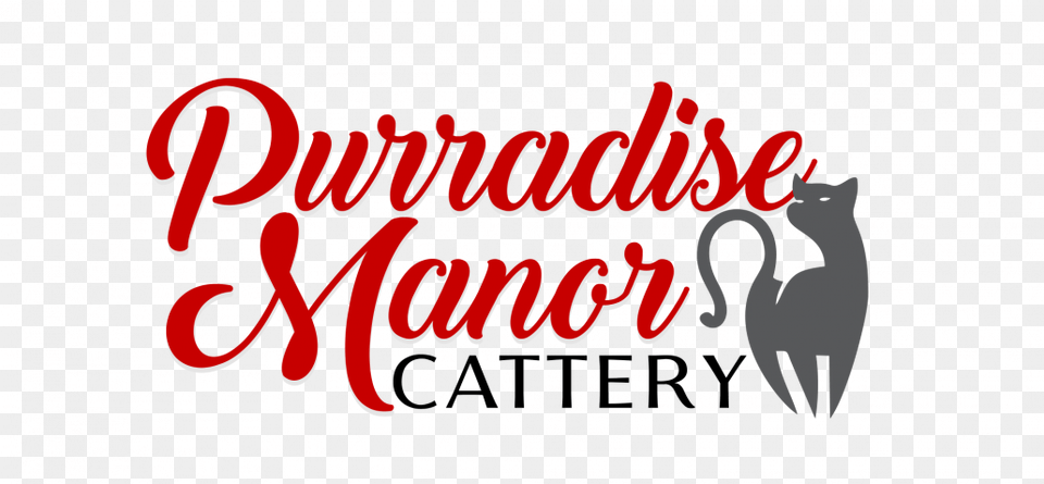 Purradise Manor Cattery Black Cat, Logo, Text, Animal, Mammal Free Png Download