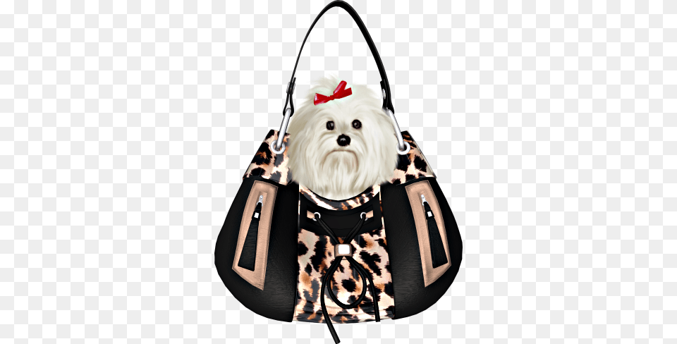 Purse Maltese Dog And Clip Art, Accessories, Bag, Handbag, Animal Png Image