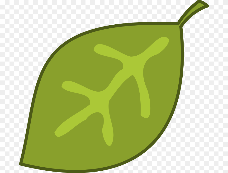 Purzen Leaf, Plant, Produce, Food, Fruit Free Png