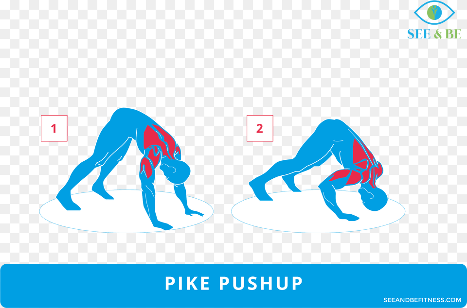 Push Up Rows Muscles, Adult, Person, Man, Male Free Png