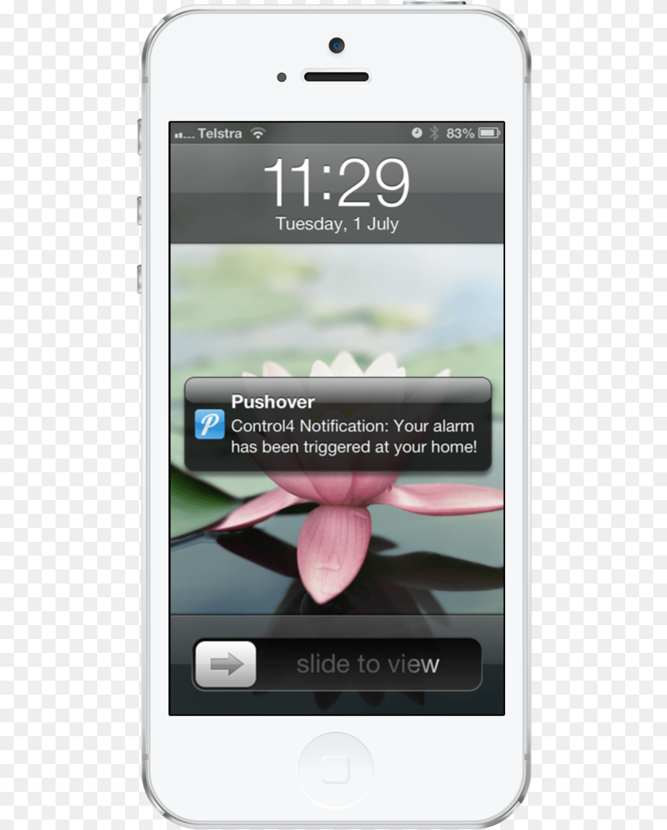 Pushover Iphone White Portrait Iphone, Electronics, Mobile Phone, Phone, Flower Png Image