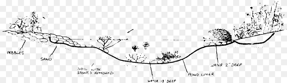 Put Stone Soil On Top Of The Shelf And Introduce Wild Bog Garden, Chart, Plot, Diagram, Plan Free Png Download
