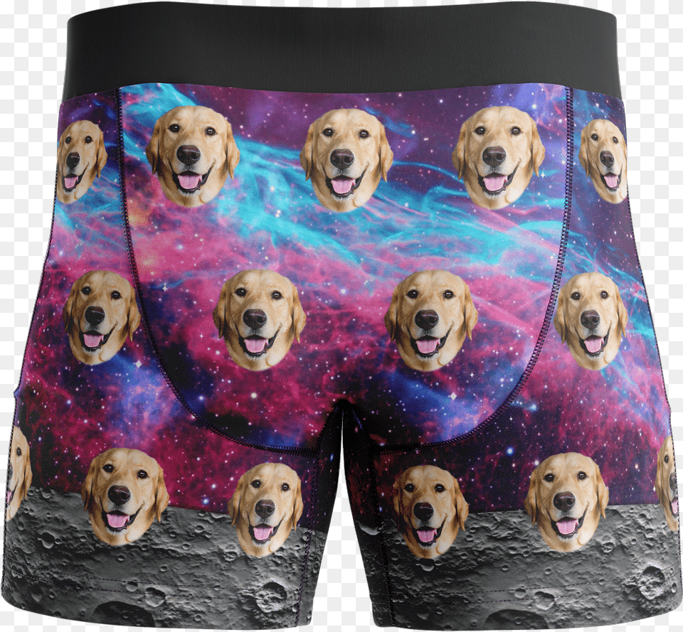Put Your Face On Boxers Board Short, Clothing, Shorts, Animal, Canine Png Image