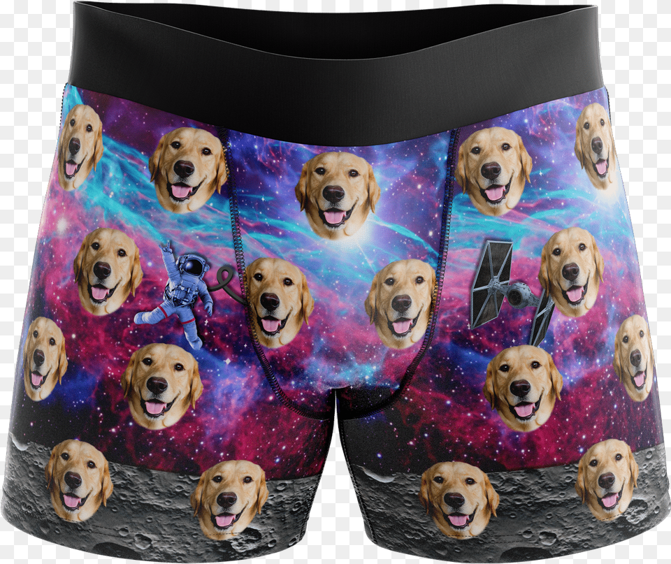 Put Your Face On Boxers Galaxy Boxers, Animal, Canine, Dog, Mammal Free Transparent Png