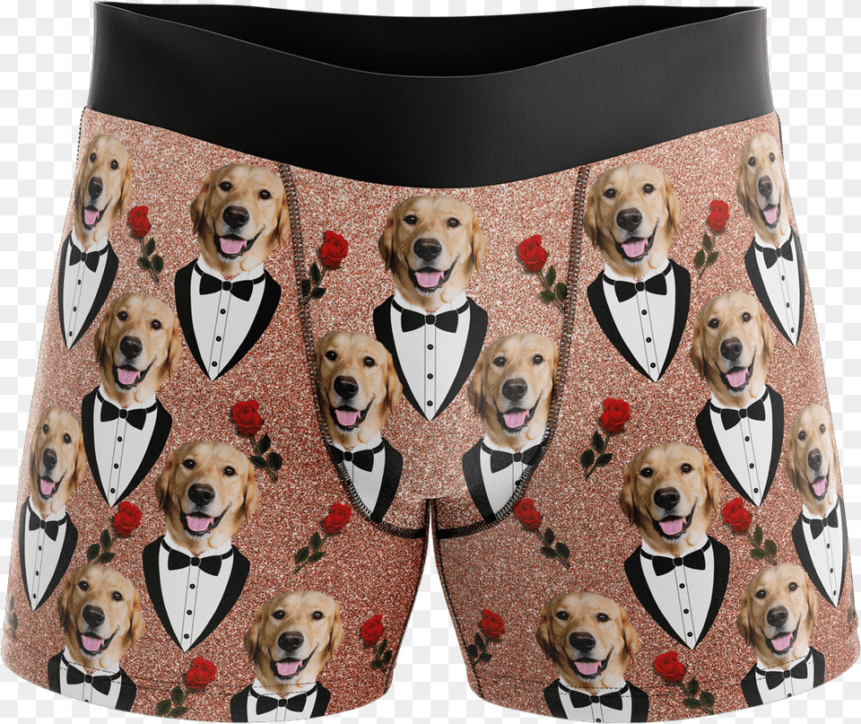 Put Your Face On Boxers Shiba Inu Wearing Boxers, Clothing, Shorts, Animal, Canine Free Png Download