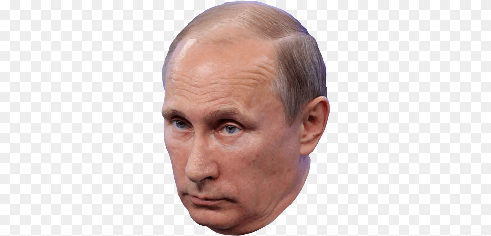 Putin, Adult, Portrait, Photography, Person Free Png Download