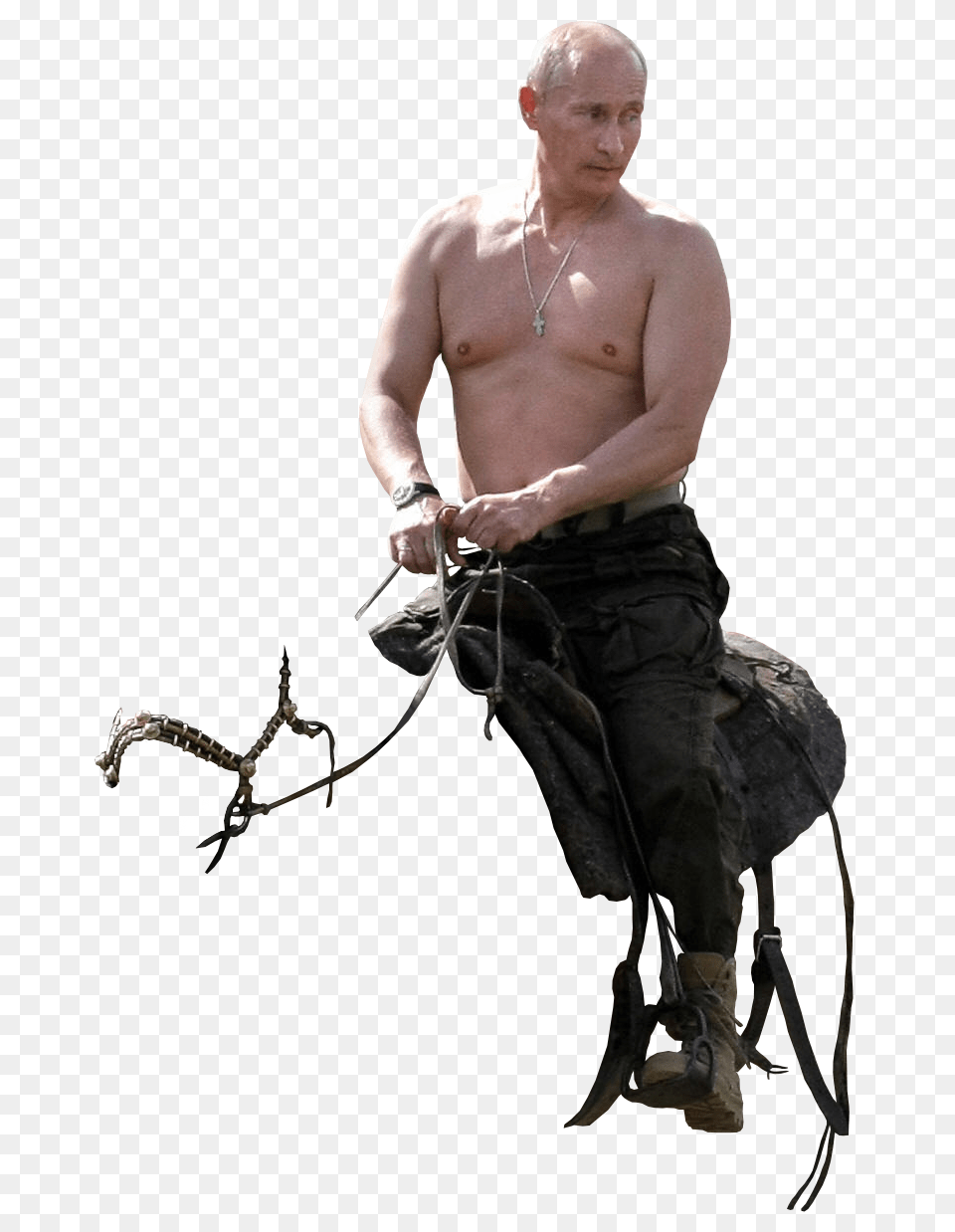 Putin Saddle, Adult, Photography, Person, Man Free Transparent Png