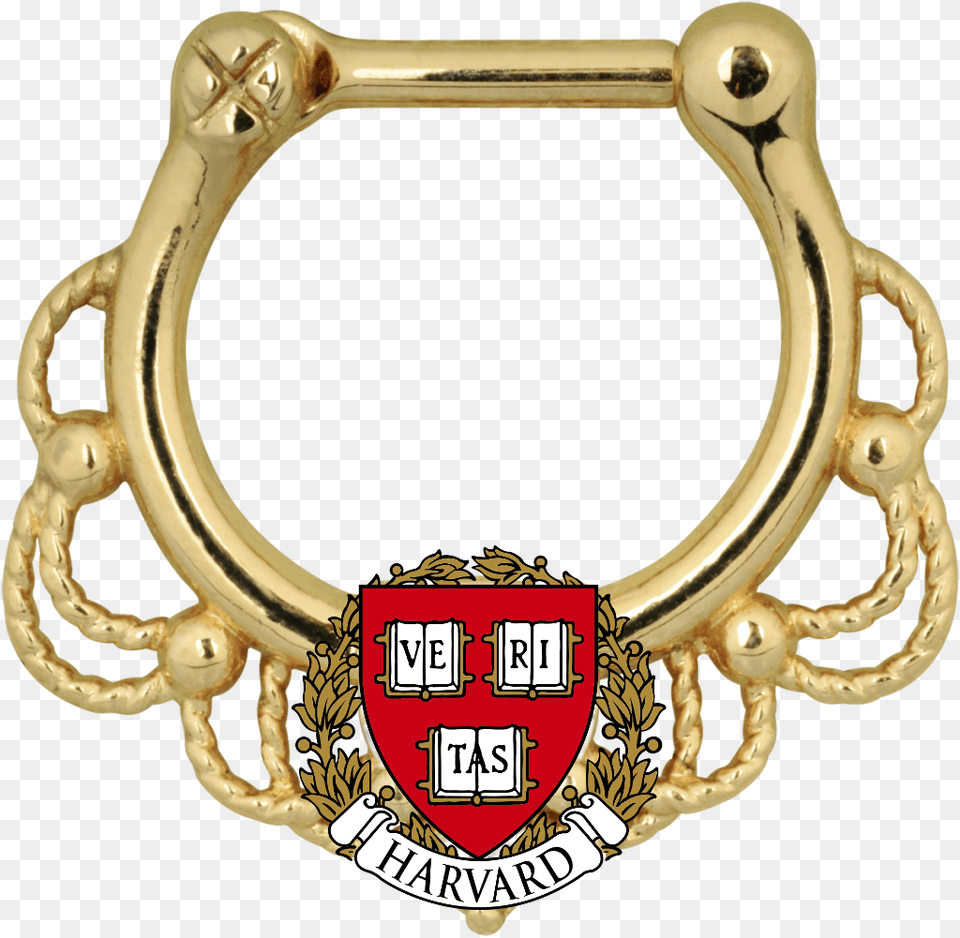 Putting A Ring On It The Harvard Independent, Accessories, Bracelet, Jewelry, Necklace Png Image